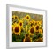Stupell Industries Central Sunflower in Meadow Framed Print Under Glass, design by Andy Crawford